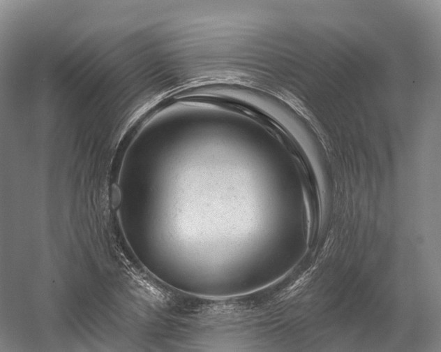 X0000057570834200509231223