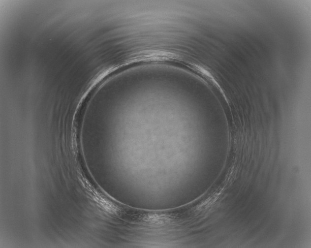 X0000057570835200509231223