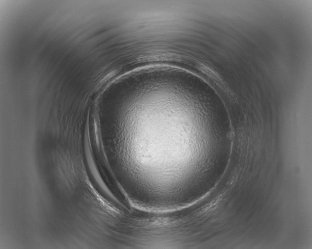 X0000057570841200509231223