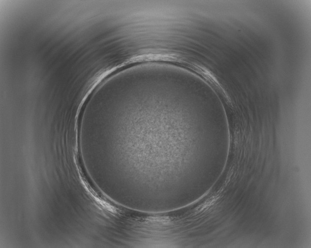 X0000057570844200509231223