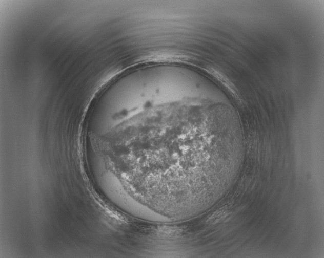 X0000057570848200509231223
