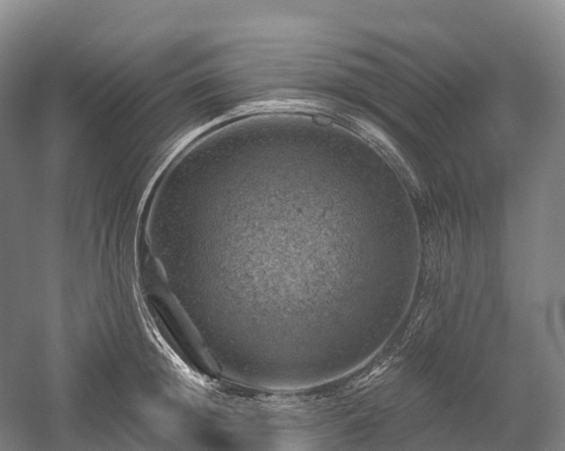 X0000057570852200509231223