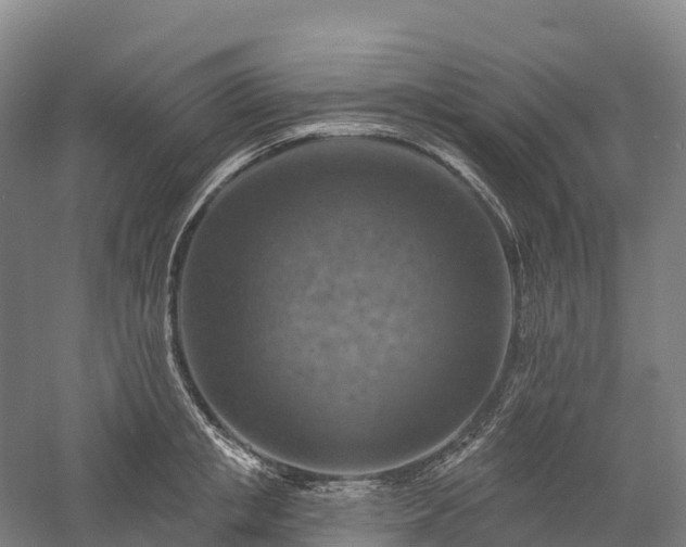X0000057570853200509231223
