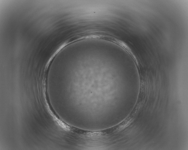 X0000057570859200509231224