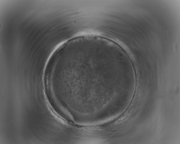 X0000057570864200509231224