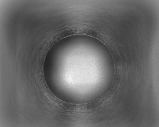 X0000057570865200509231223