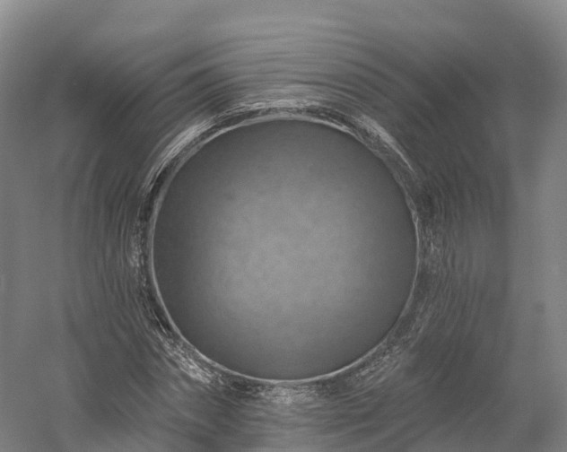 X0000057570874200509231223