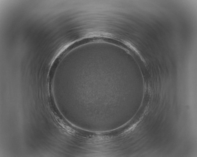 X0000057570877200509231223