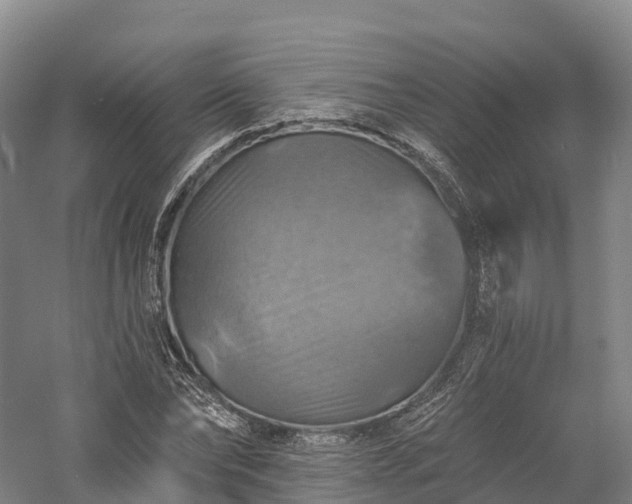 X0000057570878200509231223