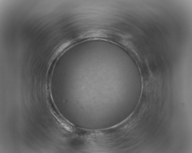 X0000057570882200509231223