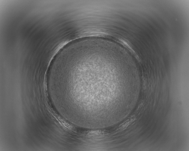 X0000057570883200509231222