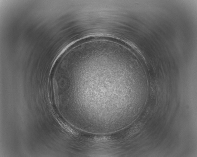 X0000057570887200509231222