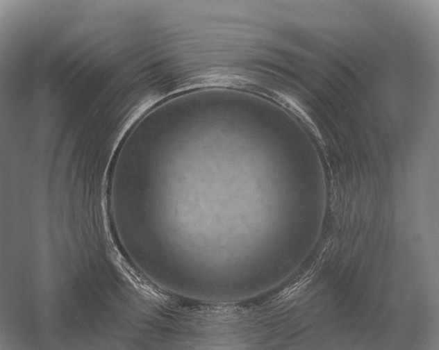 X0000057570899200509231222