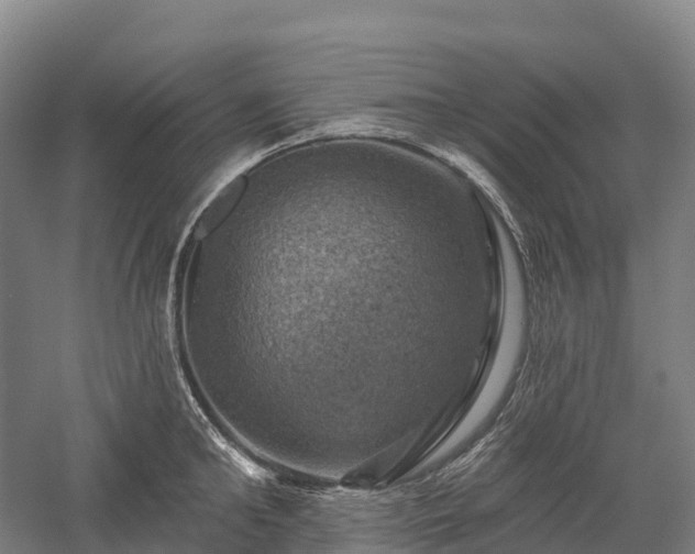 X0000057570902200509231222