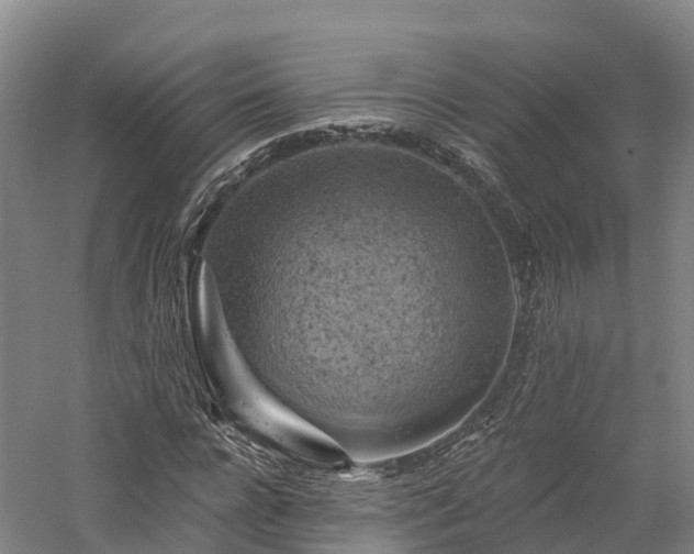 X0000057570920200509231221