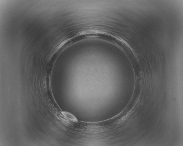 X0000057570921200509231221