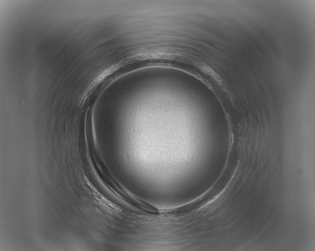 X0000057570922200509231221