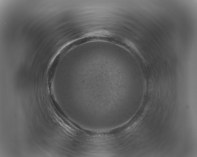 X0000057570923200509231221