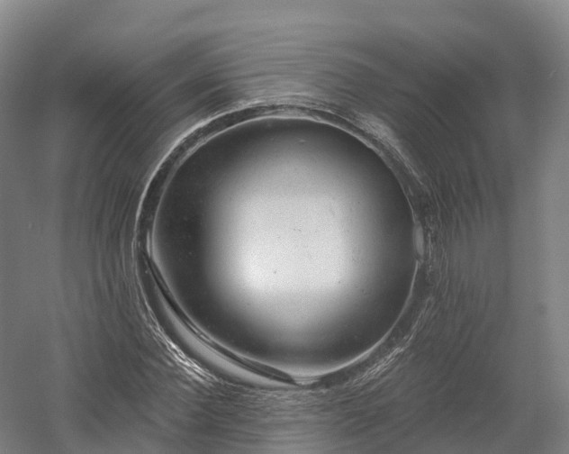 X0000057570924200509231221