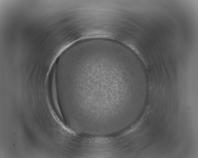 X0000057570933200509231222