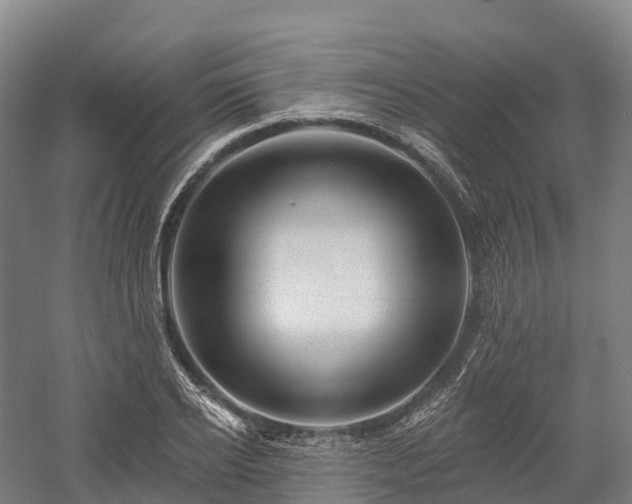 X0000057570934200509231222