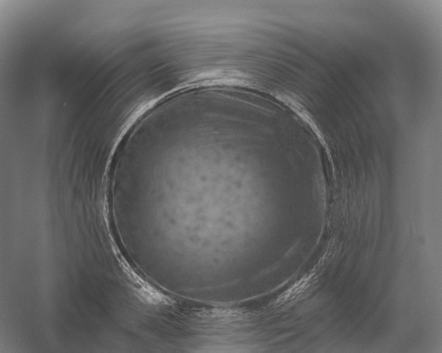 X0000057570941200509231222