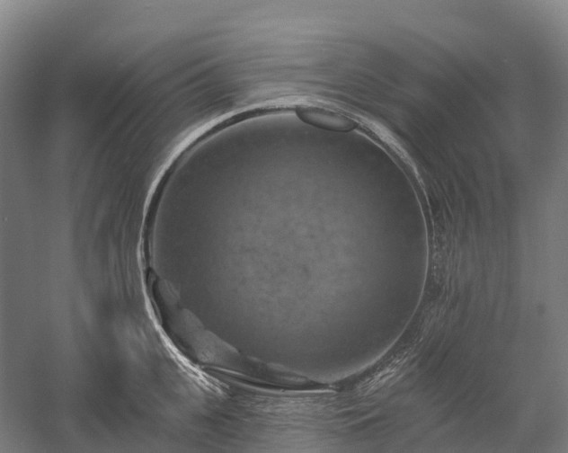 X0000057570951200509231222