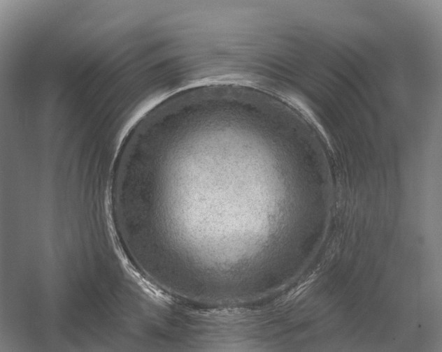 X0000057570952200509231222