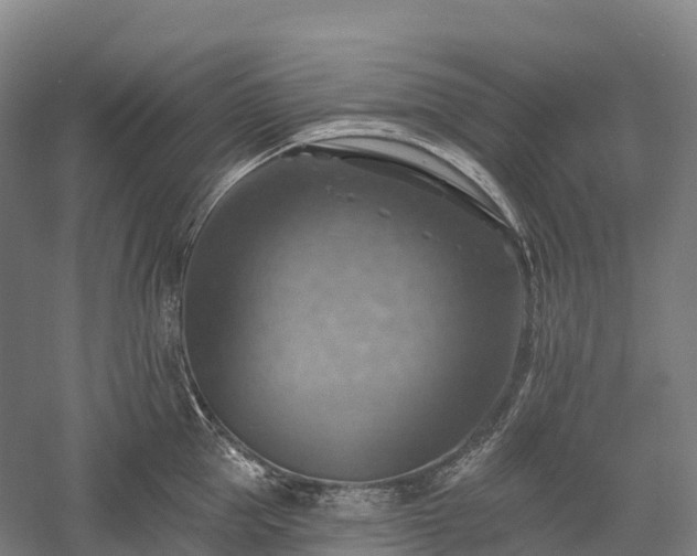 X0000057570953200509231222