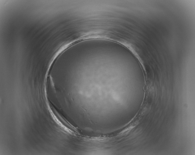 X0000057570957200509231222