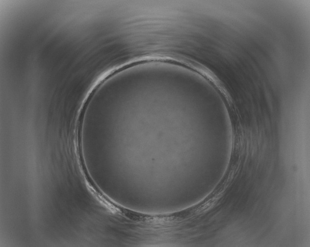 X0000057570958200509231222