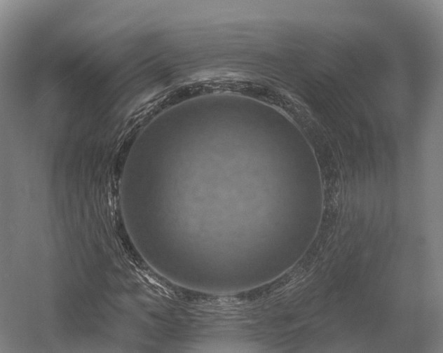 X0000057570966200509231221