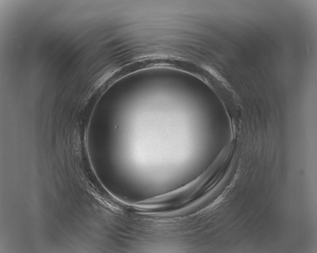 X0000057570969200509231221