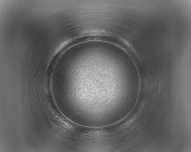 X0000057570970200509231221
