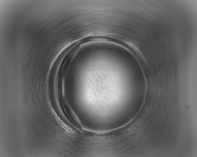 X0000057570976200509231221