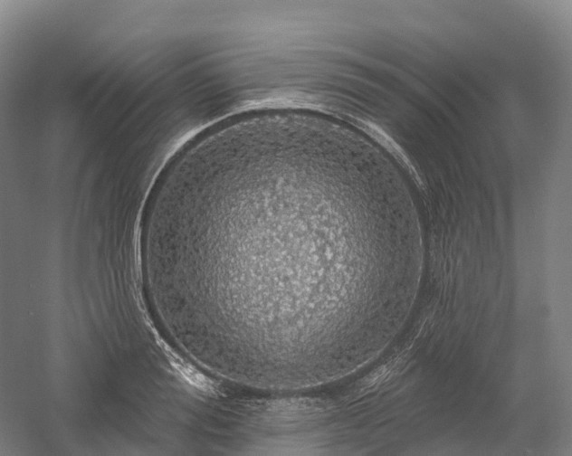 X0000057570988200509231221