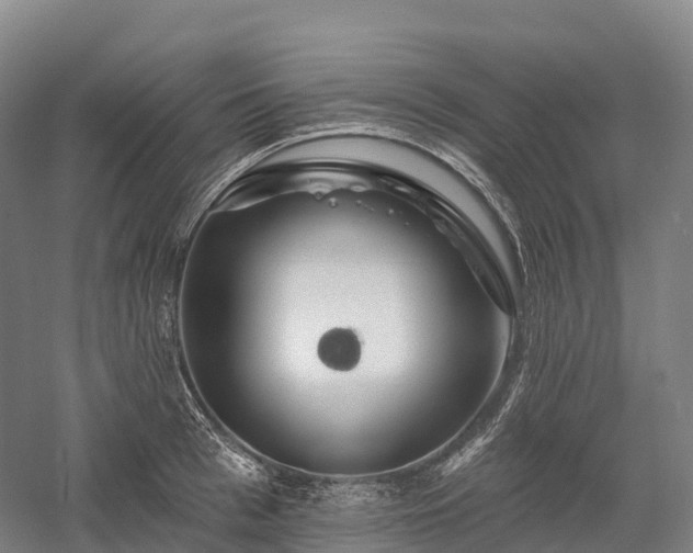X0000057570993200509231221