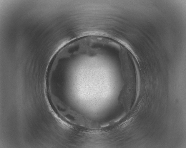 X0000057570999200509231221