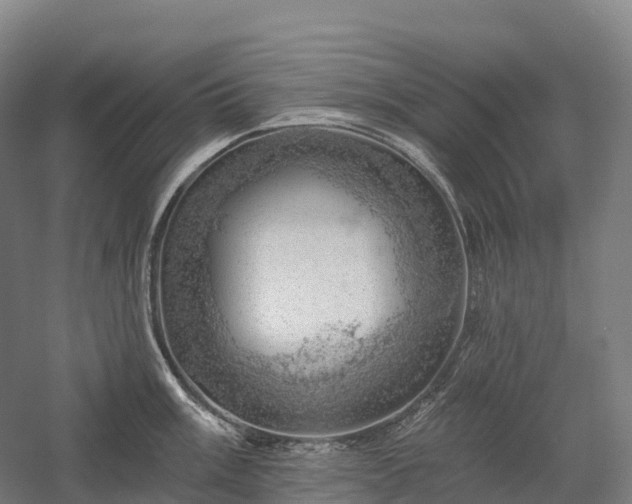 X0000057571003200509231220
