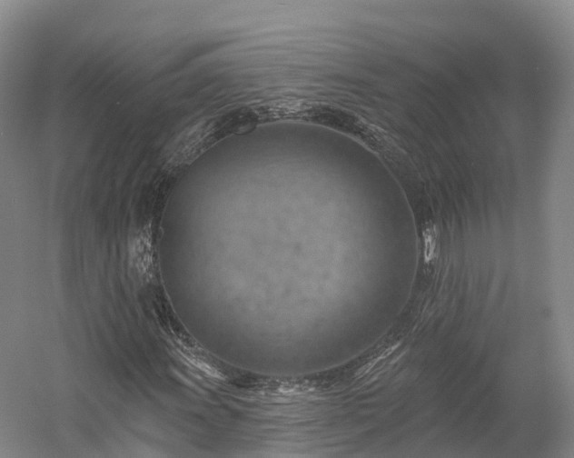 X0000057571011200509231220