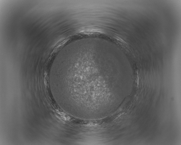 X0000057571014200509231220