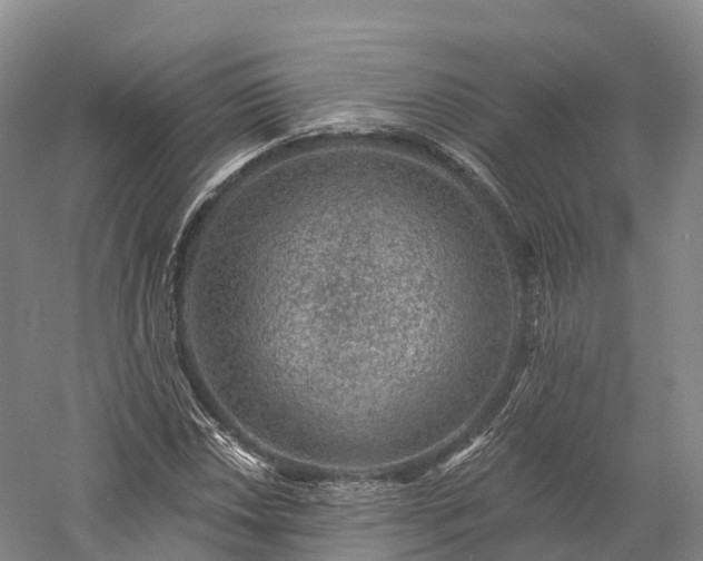 X0000057571018200509231220