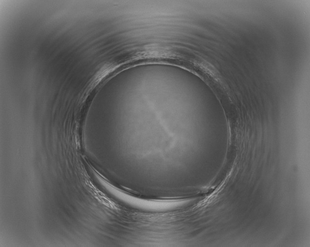 X0000057571025200509231220