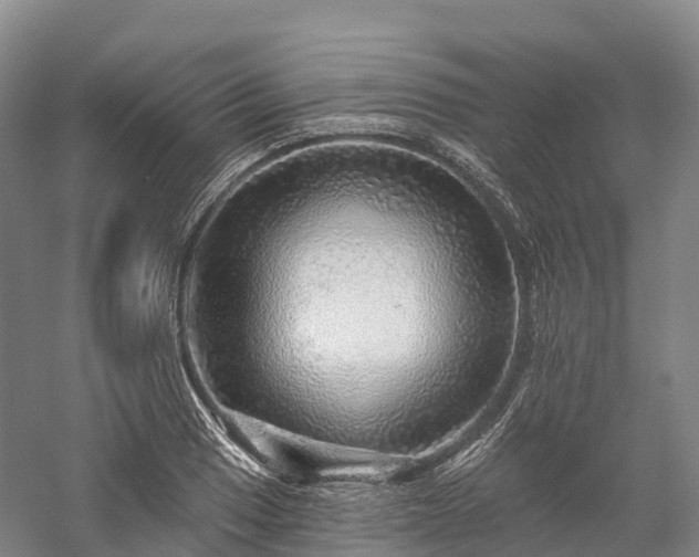 X0000057571033200509231220