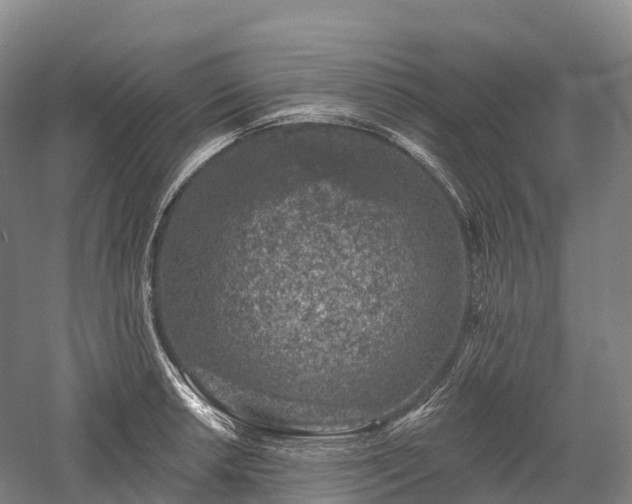 X0000057571042200509231220