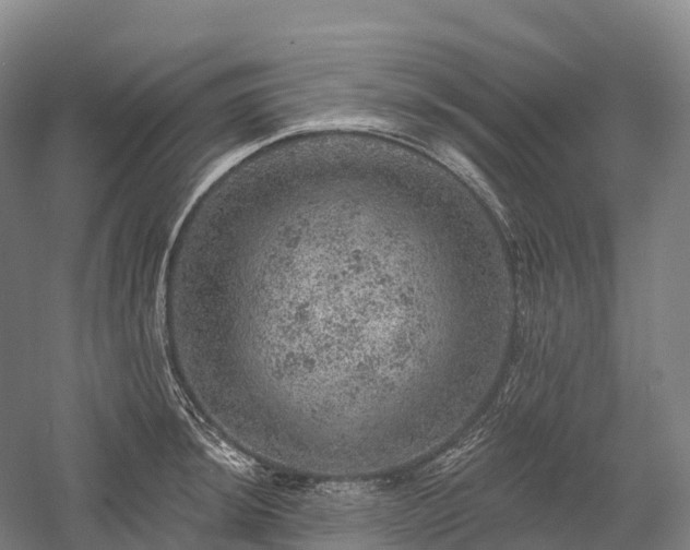 X0000057571044200509231220