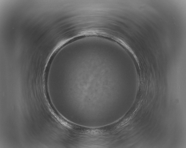 X0000057571045200509231220