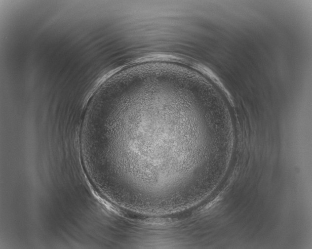 X0000057571049200509231220