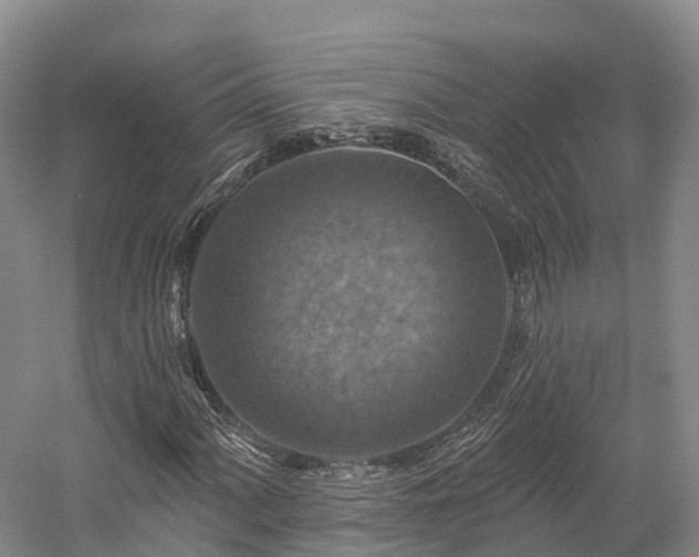 X0000057571060200509231219