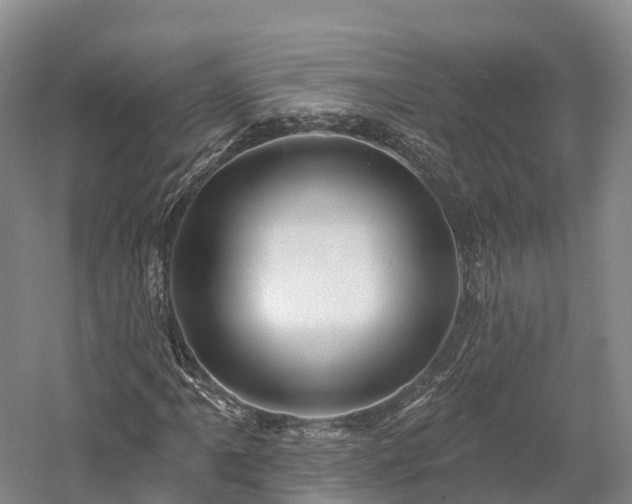 X0000057571061200509231219